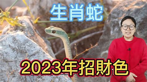 屬蛇適合什麼顏色|屬蛇的永久幸運顏色，兩種顏色搭配讓你終生受益